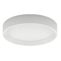 LINEA LIGHT   8334    LAMPADA DA PARETE SOFFITTO LED IN METALLO 25W 230VAC My Store