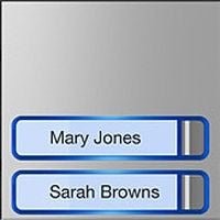 Frontale BPT - CAME 60020110 Modulo Chiamata 2 Pulsanti Alluminio Anodizzato IK07 - Gieffeshop CITOFONIA BPT - CAME