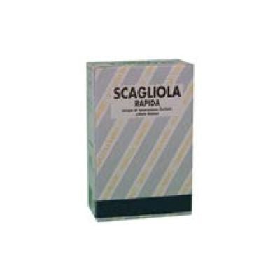 LAFERRAMENTA 67159 GESSO SCAGLIOLA 5KG - Gieffeshop ATTREZZATURA LAVORO My Store