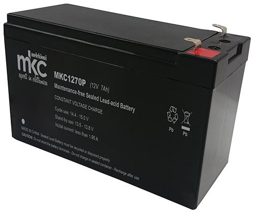 MEMLCHIONI 491460215 BATTERIA RICARICABILE PIOMBO 12VDC 7AH - Gieffeshop BATTERIE My Store