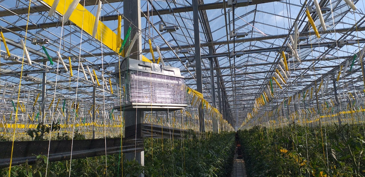 MOEL 308E CRI - CRI ELETTROINSETTICIDA 2X40W 230VAC 50HZ - Gieffeshop LAMPADA My Store